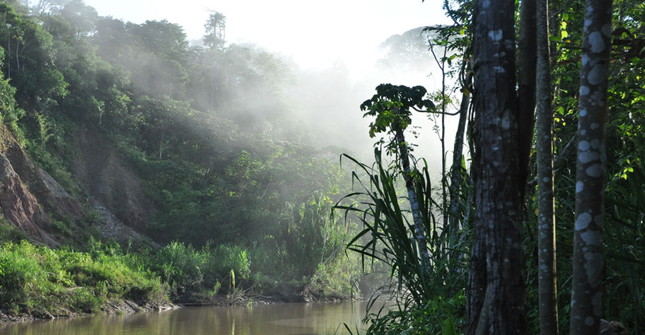 Amazonas Naturreisen Reisebüro Südamerika Schweiz
