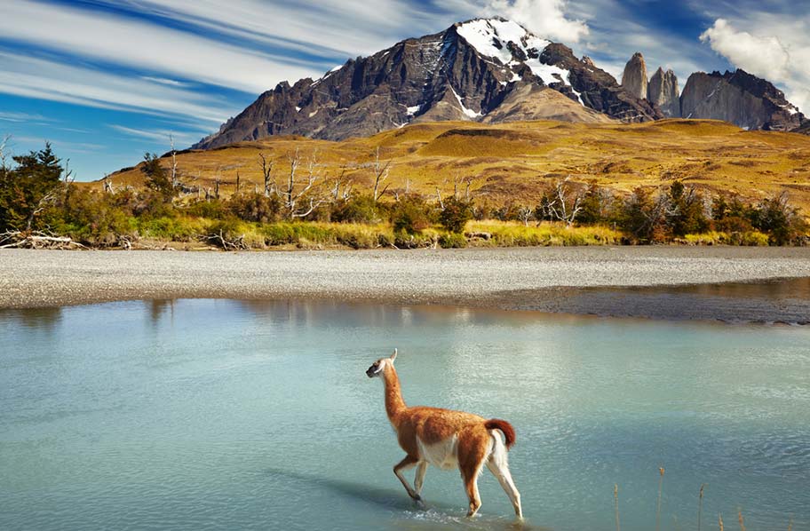 Chile Natur Reisen Patagonien Reisetipps Schweizer Reisebüro 