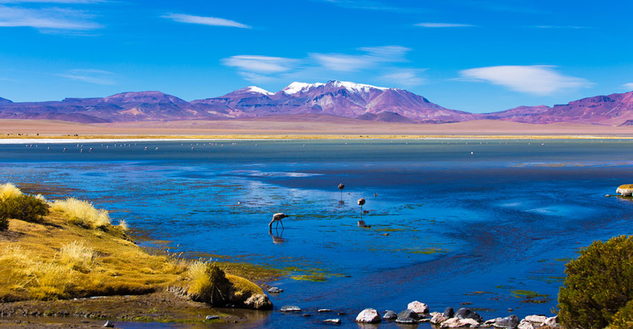 Chile Rundreise Atacama Wüste 