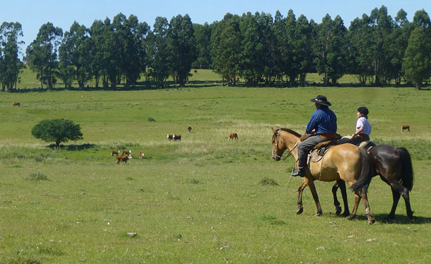 Estancia El Charabon