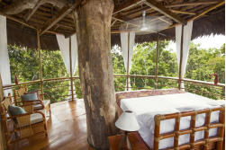 Treehouse Lodge