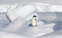 Antarktis Flug - Kreuzfahrten mit Antarctica 21