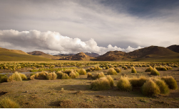 Naturaleza Magica, 17 Tage