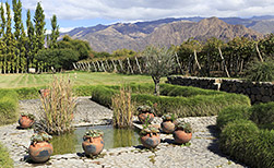 Cafayate