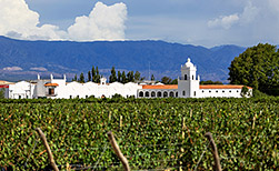 Cafayate