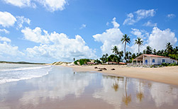 Natal