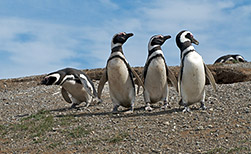 Ushuaia