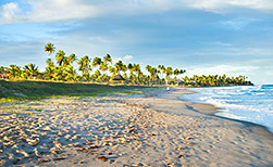 Recife Küste