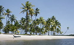 Salvador da Bahia Küste