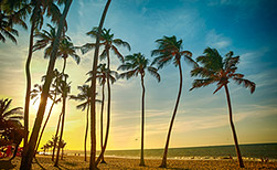 Fortaleza