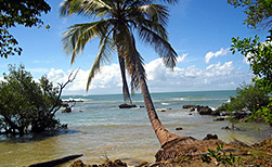 Olinda