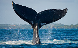 Puerto Madryn