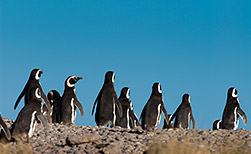 Puerto Madryn