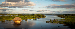 Amazonas