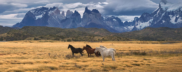 Mystisch und einzigartig! Erleben Sie mit uns die Landschaft Patagoniens
