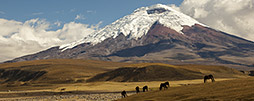 Ecuador Naturreisen