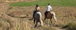 Honeymoon
