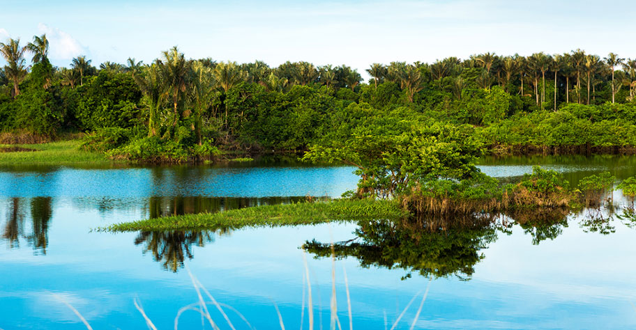 Amazonas Rundreise Brasilien preiswerte Angebote