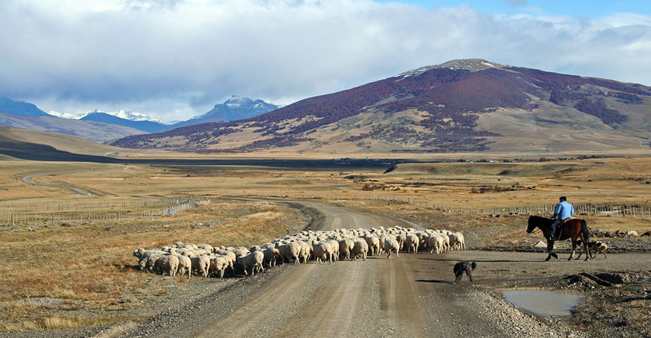 Pampa Ferien Argentinien Pferde buchen