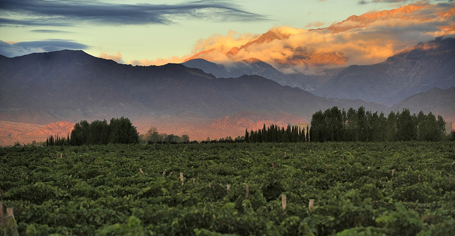 Argentinien Weinreisen günstig buchen