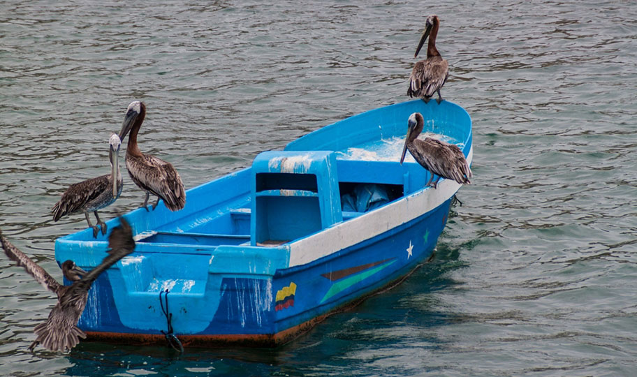 Ecuador Naturreisen Angebote Schweizer Anbieter Spezialist