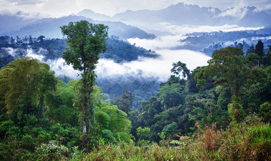 Ecuador Natur Reisen Schweiz Angebote