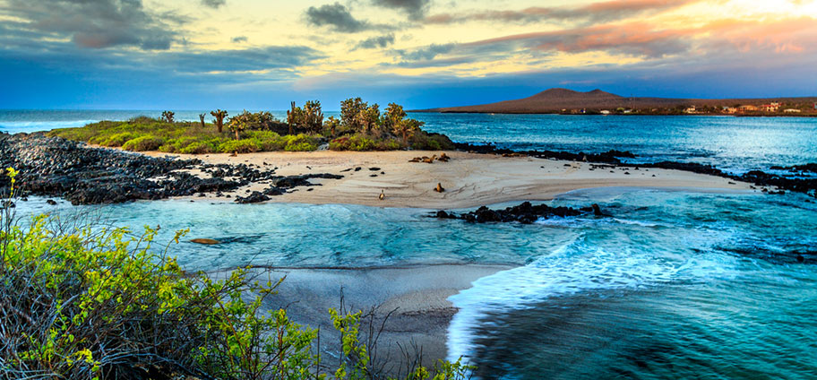 Galapagos Reisen - Unglaubliche Natur Galapagos Reisen Tipps Reisebüro Zürich