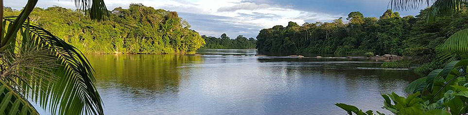 Reisetipps Suriname, Guyana und Französisch-Guyana