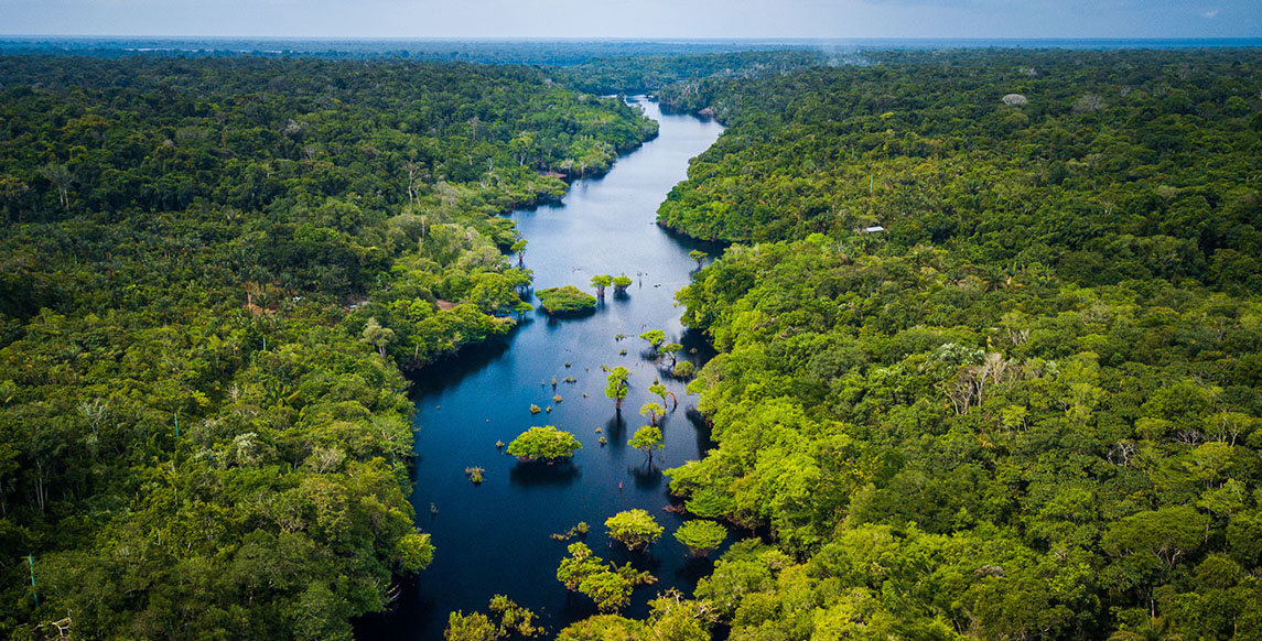 Amazonas Brasilien