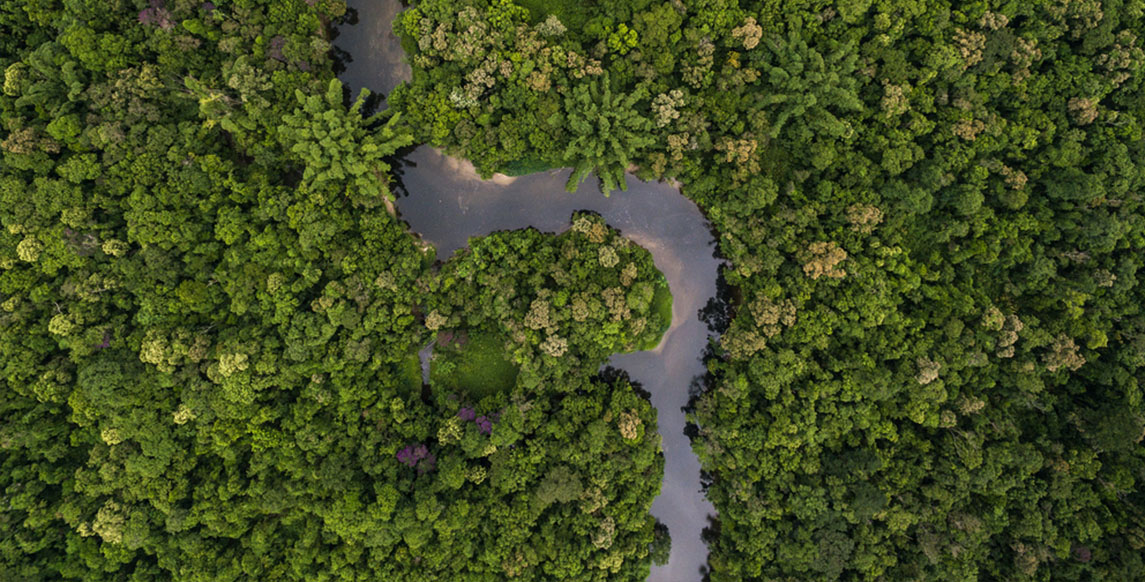 Amazonas Leticia Highlight