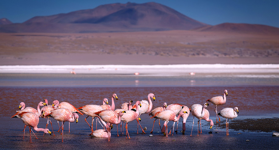  bolivien-reisentipps-laguna-Ruta-de-las-Joyas