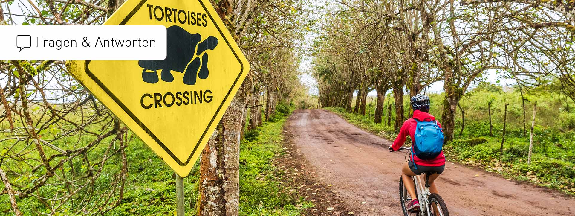FAQ Galapagos Reisen mit Fragen und Antworten