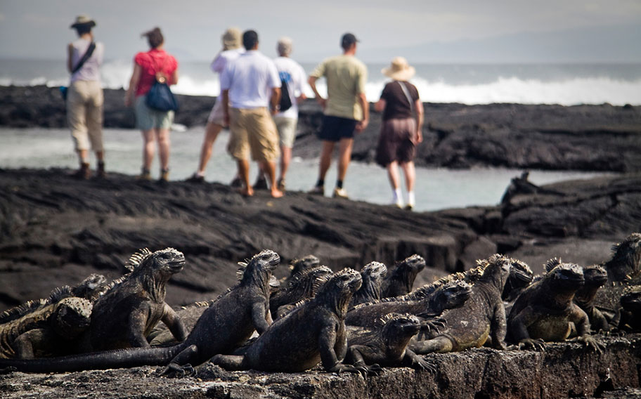 Galapagos Rundreisen buchen Angebote günstig
