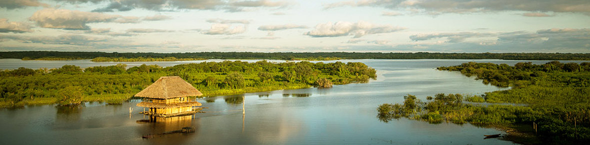 Amazonas Brasilien