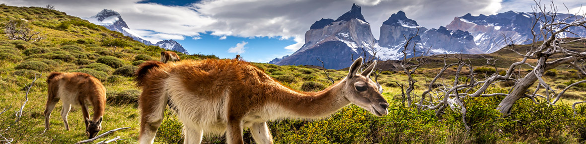 Längere Rundreisen Chile