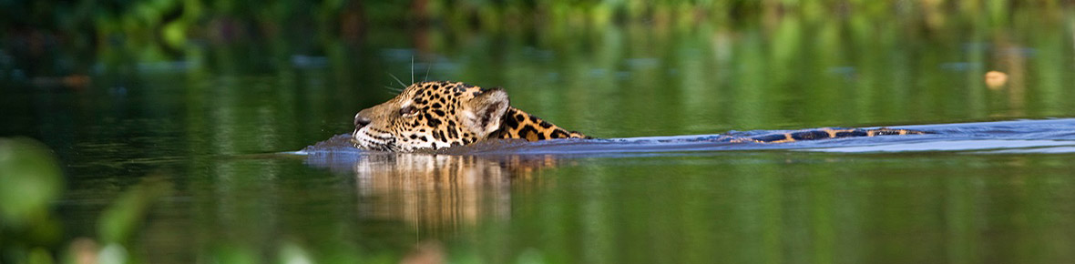 Brasilien Pantanal Lodges