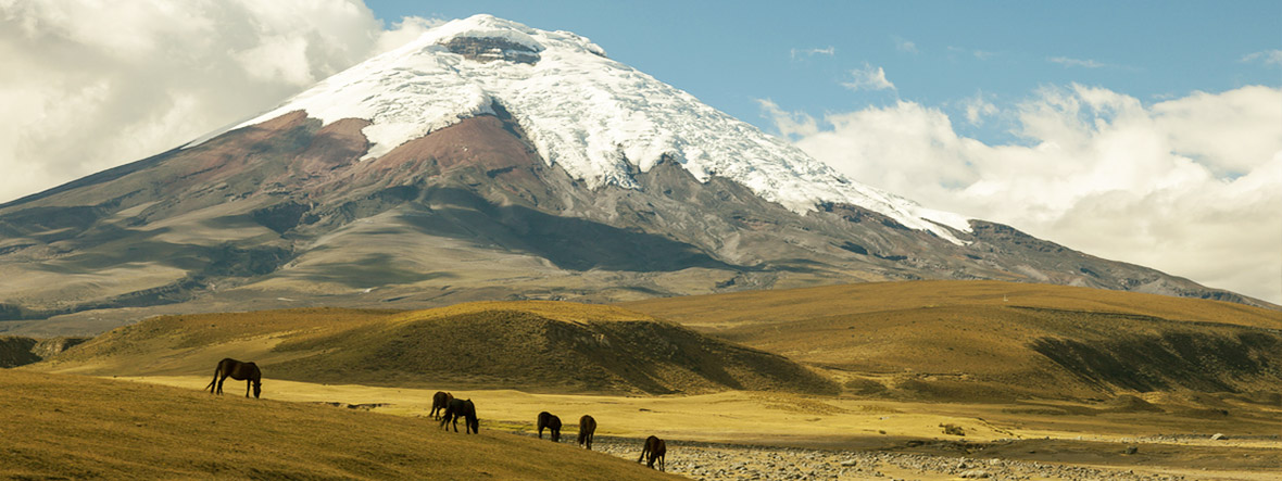 Ecuador